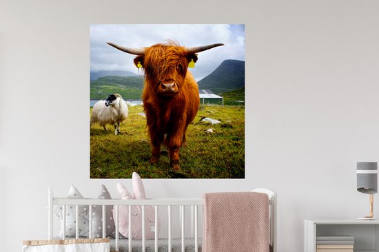Muurstickers - Sticker Folie - Schotse hooglander - Licht - Schapen - 100x100 cm - Plakfolie - Muurstickers Kinderkamer - Zelfklevend Behang XXL - Zelfklevend behangpapier - Stickerfolie
