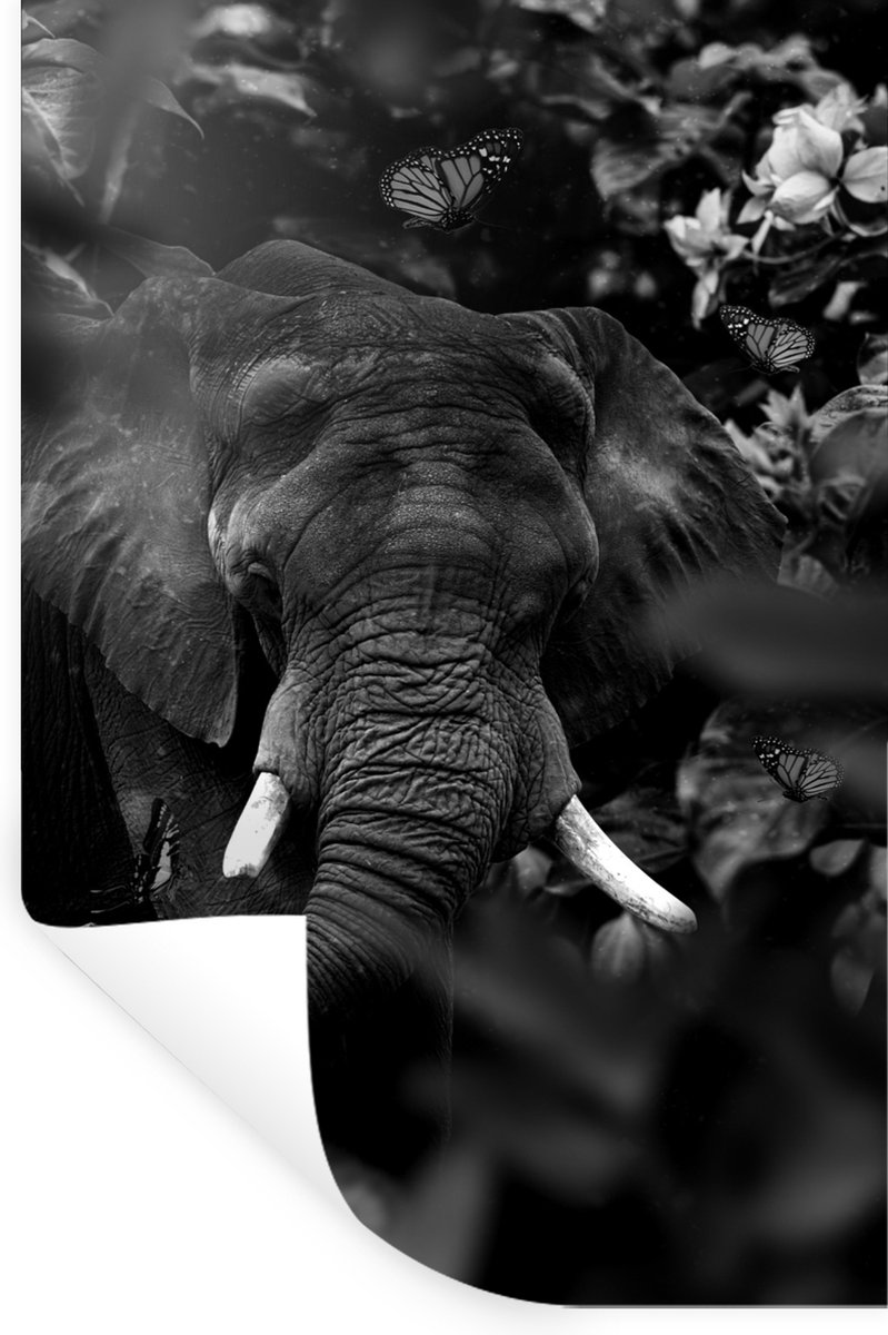 Muurstickers - Sticker Folie - Olifant en vlinders in de jungle - zwart wit - 60x90 cm - P