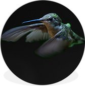 WallCircle - Wall Circle - Wall Circle Indoor - Colibri - Vogel - Ressorts - Zwart - 150x150 cm - Décoration murale - Peintures Ronds