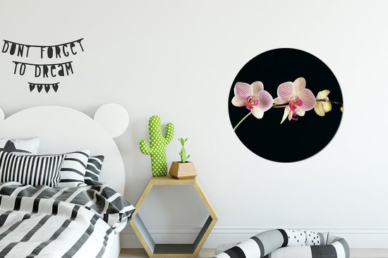 WallCircle - Wandcirkel - Muurcirkel - Orchidee - Bloemen - Zwart - Roze - Knoppen - Aluminium - Dibond - ⌀ 60 cm - Binnen en Buiten