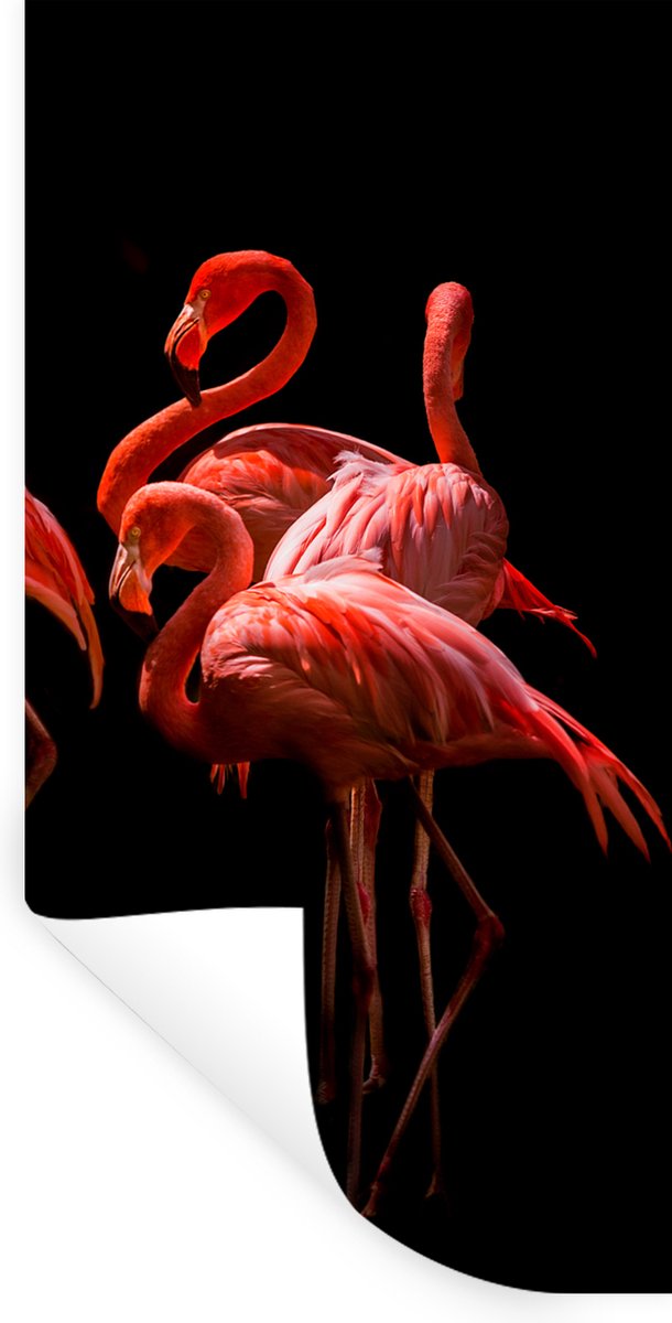 Muurstickers - Sticker Folie - Flamingo's - Vogels - Veren - Zwart - 40x80 cm - Plakfolie 