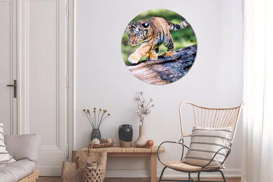 Tigre - Cub - Arbre Aluminium XXL