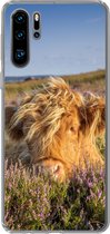 Geschikt voor Huawei P30 Pro hoesje - Schotse Hooglander - Heide - Gras - Dieren - Siliconen Telefoonhoesje