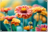 Tuinposter bloemen - Tuindecoratie gerbera - 90x60 cm - Tuindoek kleurrijk - Muurdecoratie voor buiten - Schuttingposter - Tuinschilderijen - Tuinwanddecoratie - Tuinversiering - Tuinposters