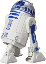 Hasbro Star Wars - The Mandalorian Black Series R2-D2 (Artoo-Detoo) 15 cm Actiefiguur - Multicolours