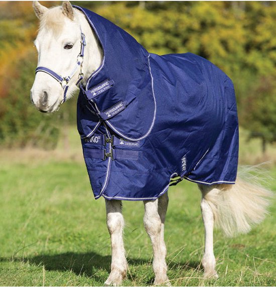 Feuille D'aiguillage Poney Amigo Hero - Taille 45" - Couleur Raisin/Framboise - Imperméable