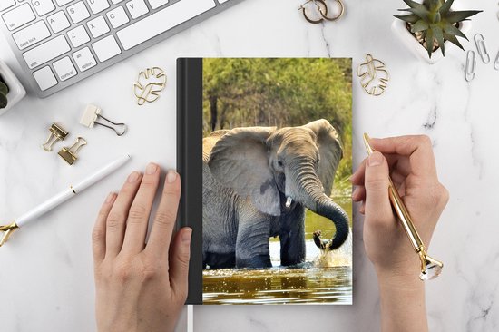 Carnet - Carnet d'écriture - Eléphant au bain - Carnet - Format A5 - Bloc-notes