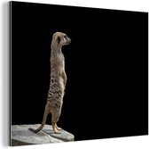 Wanddecoratie Metaal - Aluminium Schilderij Industrieel - Stokstaartje - Wilde dieren - Zwart - 40x30 cm - Dibond - Foto op aluminium - Industriële muurdecoratie - Voor de woonkamer/slaapkamer