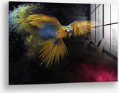 Wallfield™ - Color Parrot | Glasschilderij | Muurdecoratie / Wanddecoratie | Gehard glas | 80 x 120 cm | Dieren schilderijen | Papegaai Woonkamer / Slaapkamer Schilderij | Kleurrijke Vogel | Modern / Industrieel | Magnetisch Ophangsysteem