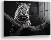 Wallfield™ - Jaguar HZ | Glasschilderij | Gehard glas | 60 x 90 cm | Magnetisch Ophangsysteem