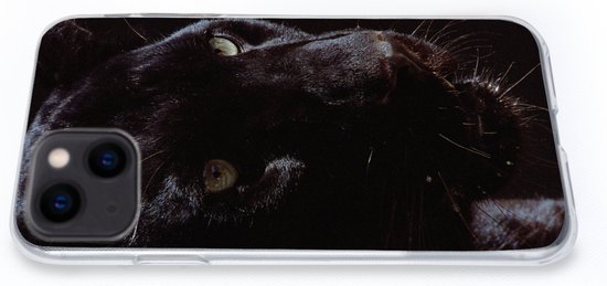 Coque iPhone 13 mini - Panthère - Animal - Zwart - Siliconen - Sinterklaas - Noël - Cadeaux - Cadeaux de chaussures