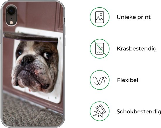 Coque iPhone XR - Chien - Drôle - Laisses pour chats - Siliconen - Sinterklaas - Noël - Cadeaux - Chaussures Cadeaux