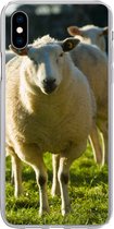 Geschikt voor iPhone Xs hoesje - Schapen - Dieren - Wol - Siliconen Telefoonhoesje