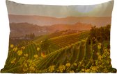 Buitenkussens - Tuin - Wijngaarden in Italië - 50x30 cm