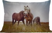 Buitenkussens - Tuin - Drie paarden in het weiland op een heldere dag - 50x30 cm