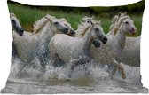 Buitenkussens - Tuin - Kudde witte paarden in het water in Frankrijk - 60x40 cm