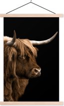 Affiche scolaire - Highlander écossais - Fourrure - Animal - 60x90 cm - Lattes vierges