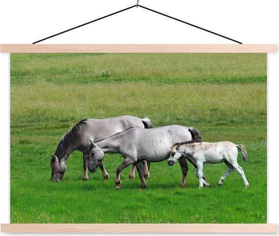 Affiche textielposter Konik Chevaux 60x40 cm