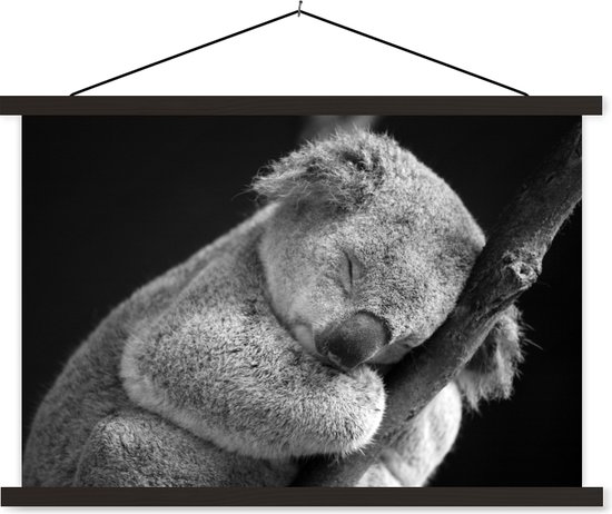Poster koala endormi sur fond noir en textielposter noir et blanc lattes noires 90x60 cm - Tirage photo sur plaque scolaire (décoration murale salon / chambre)