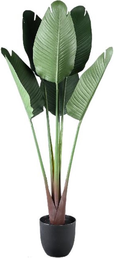 PTMD Kunstplant Reizigers Palm - 75x75x120 cm - Plastic - Groen