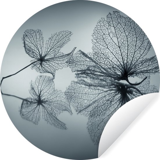 WallCircle - Stickers muraux - Cercle de papier peint - Nature morte - Feuilles - Zwart - Wit - 80x80 cm - Cercle mural - Autocollant - Sticker papier peint rond