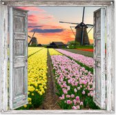Tuinposter - Tuin - Doorkijk - Molen - Tulpen - 100x100 cm - Tuinschilderij - Doorkijk tuinposter - Tuindoek - Buitenposter