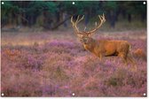 Tuinposter - Tuindoek - Tuinposters buiten - Hert - Nederland - Bloemen - Veluwe - 120x80 cm - Tuin