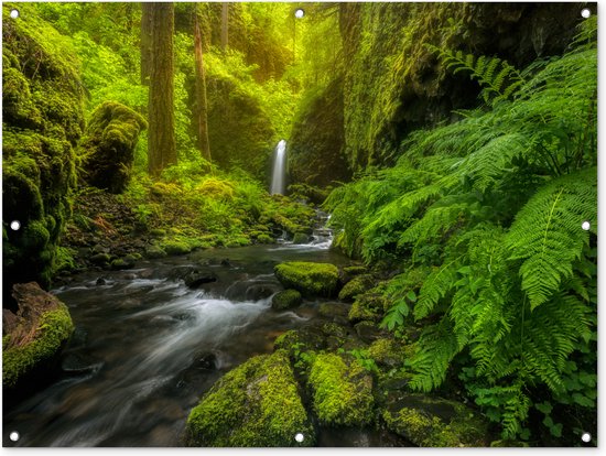 Tuinposter - Tuindoek - Tuinposters buiten - Prachtig plaatje jungle - 120x90 cm - Tuin