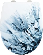 Wc-bril Sereno, gestructureerd oppervlak, toiletdeksel met softclosemechanisme van onbreekbaar thermoplast, recyclebaar kunststof, 36,5 x 45 cm, meerkleurig