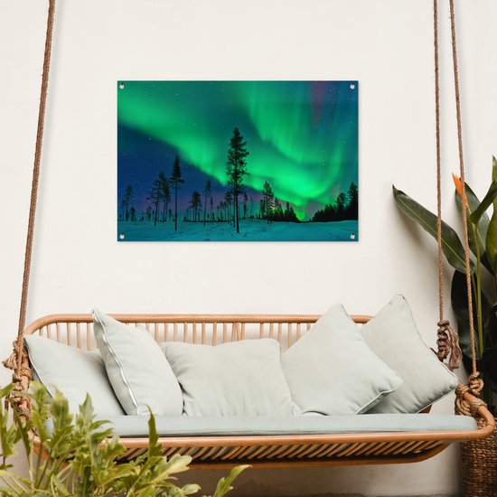 Posters de jardin Aurores boréales - Suède - Arbre - 90x60 cm