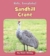 Hello, Everglades! - Sandhill Crane