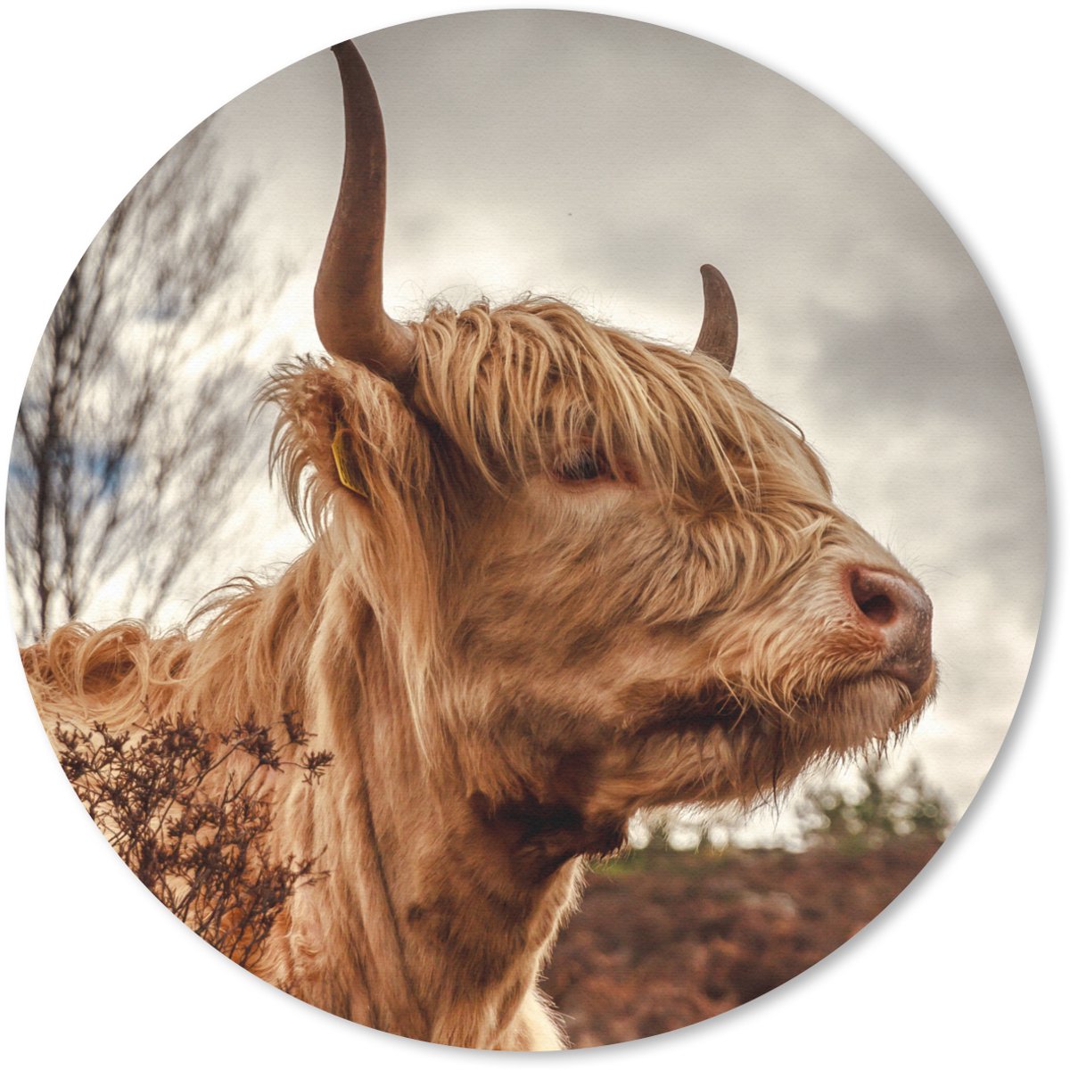 Muismat rond 30x30 cm - Mousepad Schotse Hooglander - Struik - Heide - Ronde muismatten