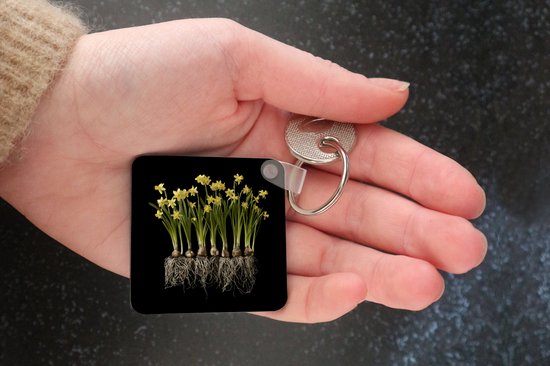 Porte-clés Plantes sur fond noir - Plusieurs jonquilles avec ampoules sur fond noir Porte-clés en plastique - Porte-clés carré avec photo