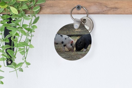 Porte-clés - Cochons - Porcelets - Paille - Plastique - Rond - Cadeaux à distribuer