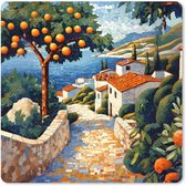 40 cm x 40 cm