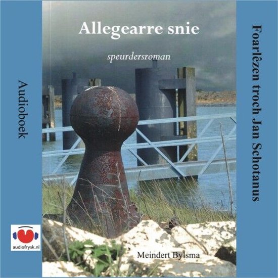 Allegearre snie - cover
