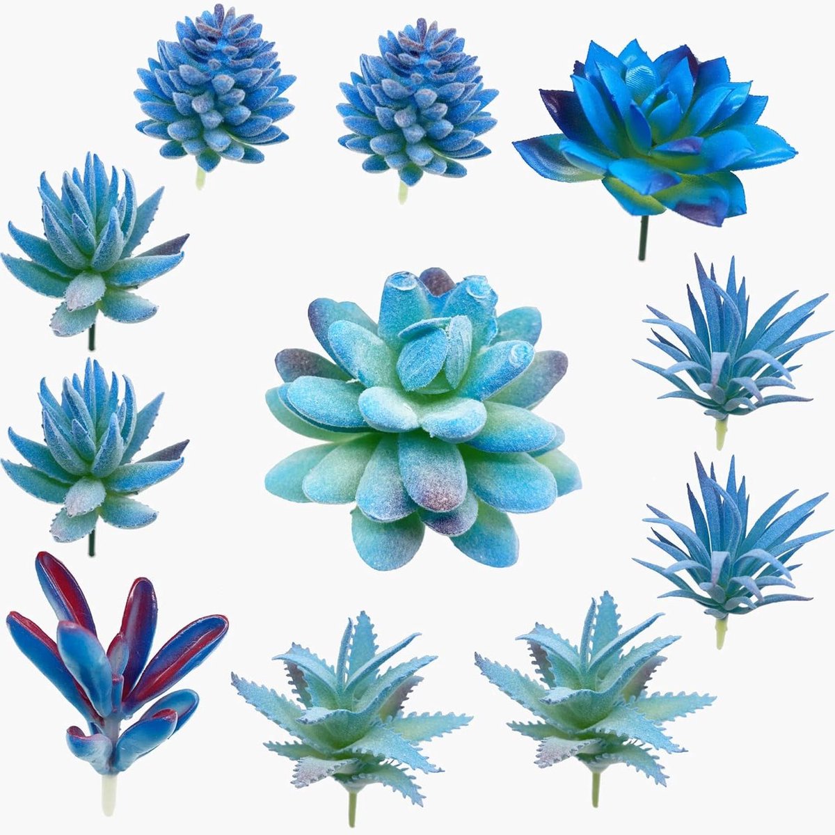 Allecto Plus - Kunstmatige Vetplanten Blauw - Set van 11 - Decoratieve Nep Vetplanten - Verschillende Types - Decoratie voor Thuis - Muurdecoratie - Tuinieren - DIY - Verjaardagsgeschenk
