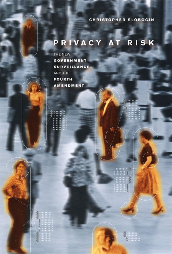 Privacy at Risk - cover