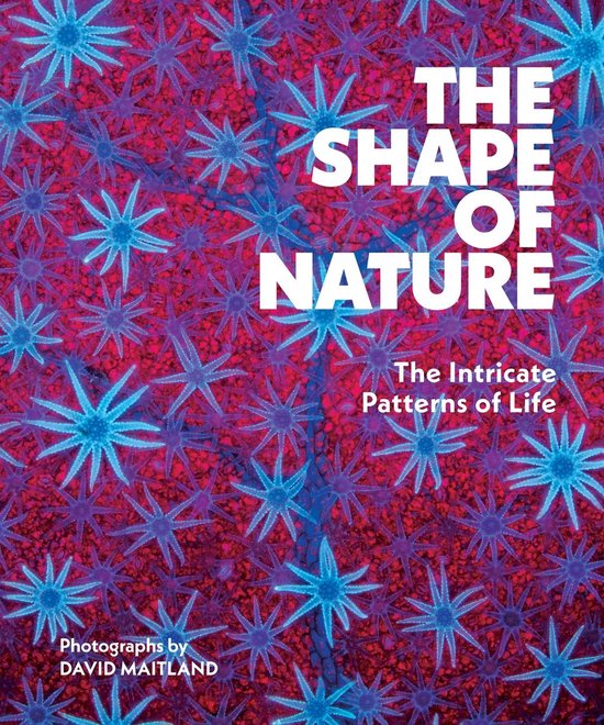 The Shape of Nature - cover