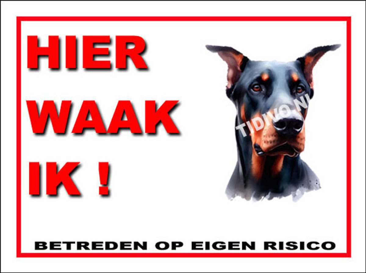 Duitse Dog 3