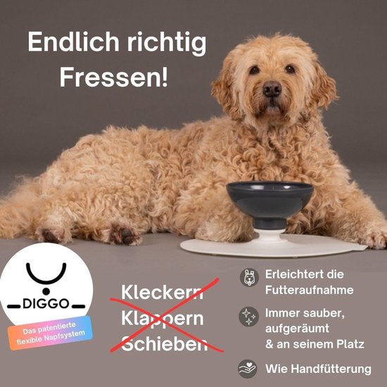 Hotainoys Verhoogde hondenbak, PP plastic hondenbak, preventie