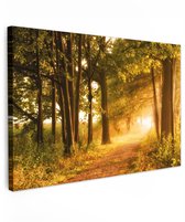 Tuinschilderij voor buiten 120x80 cm - Tuindecoratie Bos - Bomen - Zonlicht - Herfst - Bospad - Natuur - Tuinposter op canvas - Tuin muurdecoratie - Buitenschilderij decoratie - Schutting wanddecoratie - Buitencanvas