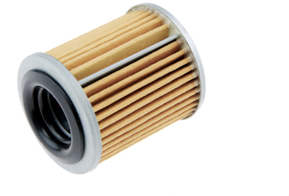 Hydraulische filter NTY: FSF-NS-010 OEM 2824A006