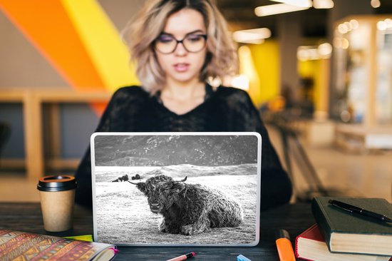 Autocollant pour ordinateur portable - 10,1 pouces - Highlander écossais - Berg - Animaux - 25x18cm - Autocollants pour ordinateur portable - Skin pour ordinateur portable - Housse