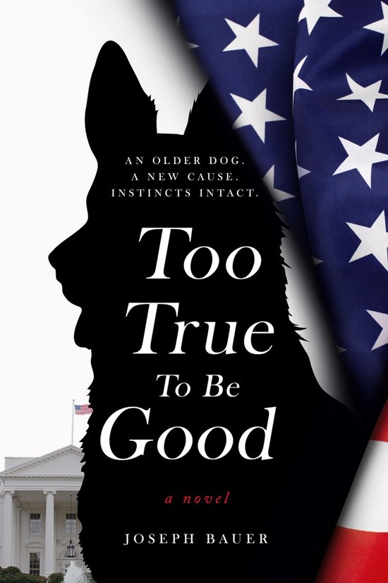 Too True To Be Good - cover