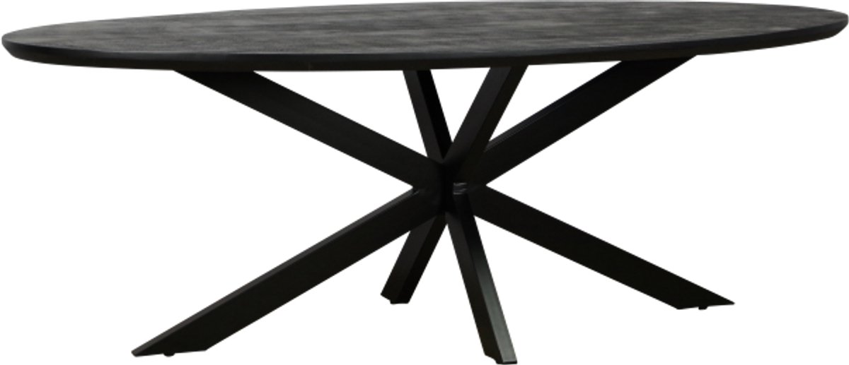 Meubelplaats Eettafel Colorado ovaal mangohout 220x110 cm - verjongde rand - Zwart