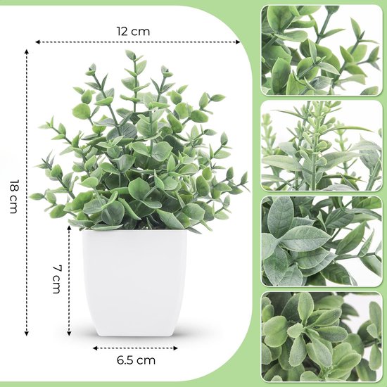 Een kunstplant met kleine, ronde groene bladeren in een witte vierkante pot, 18 cm hoog. Getoond met afmetingen en close-up details van de bladeren.