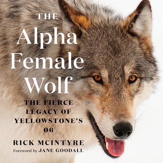 The Alpha Female Wolf - cover