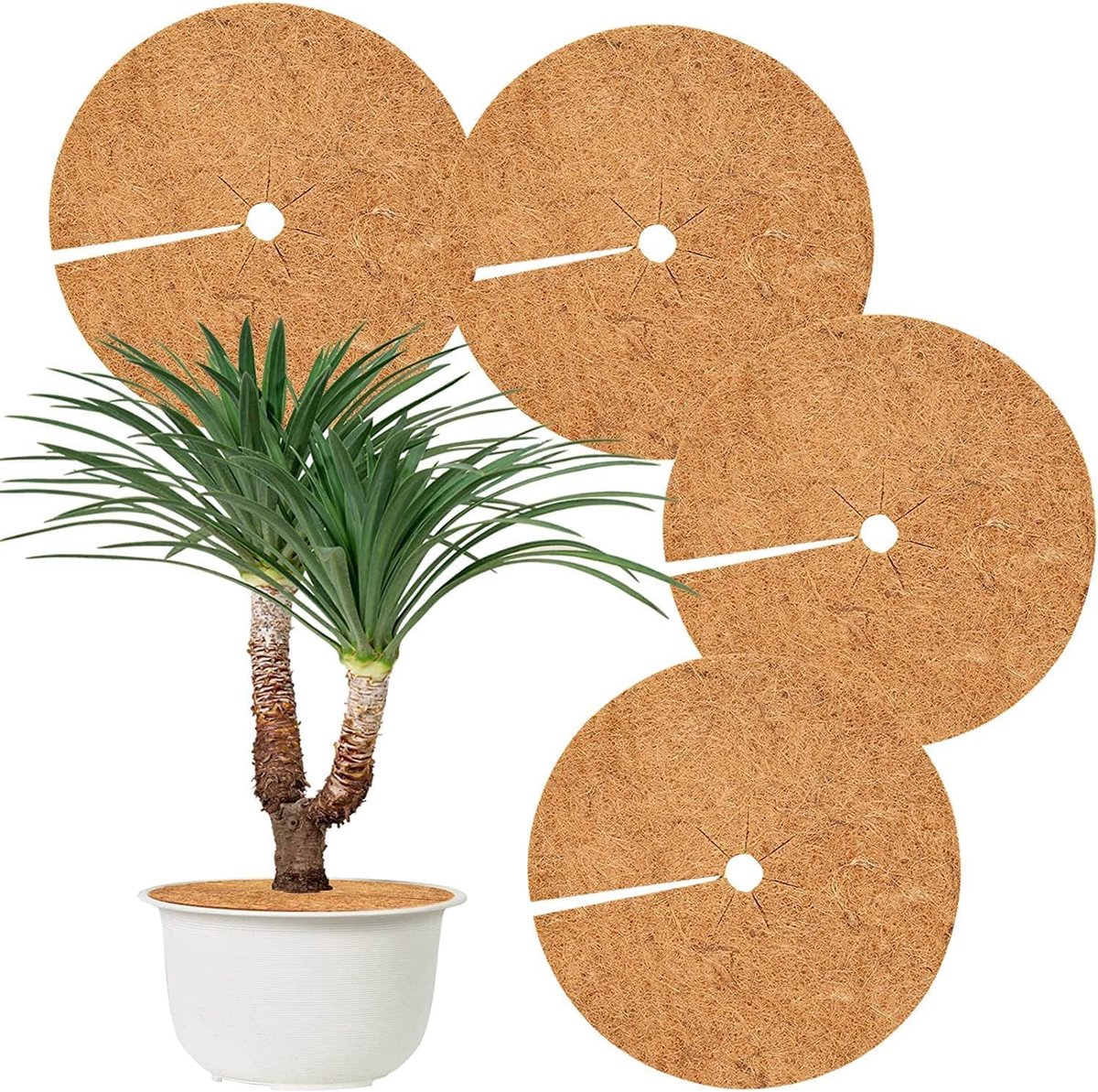 4x Kokos Mulchschijven Ø 30 cm - Winter- en Vorstbescherming voor Potplanten