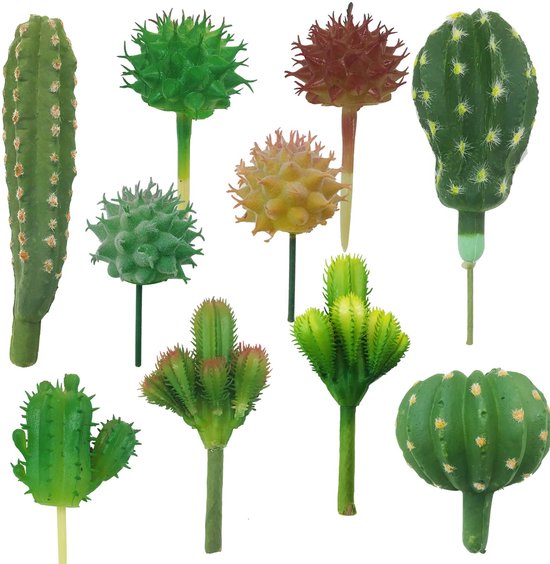 Cayway 20 stuks kunstmatige vetplanten geassorteerd veelkleurig nep nep vetplanten, cactus aloë vetplanten assortiment in gevlokt in verschillende soorten voor verjaardag woondecoratie indoor tuin DIY
